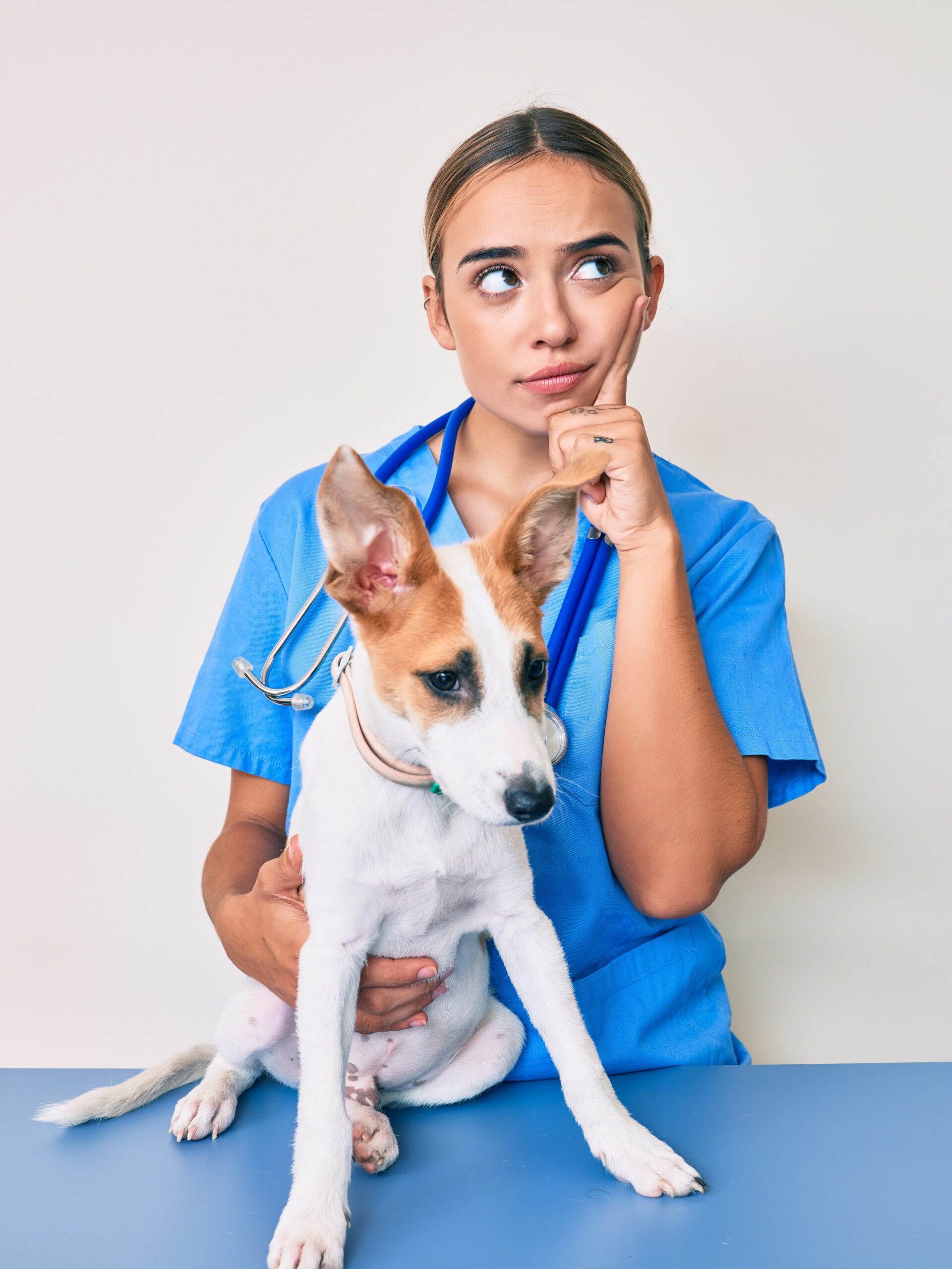 Young beautiful blonde veterinarian woman checking dog health serious face thinking about question with hand on chin, thoughtful about confusing idea